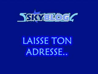 laisse ton msn